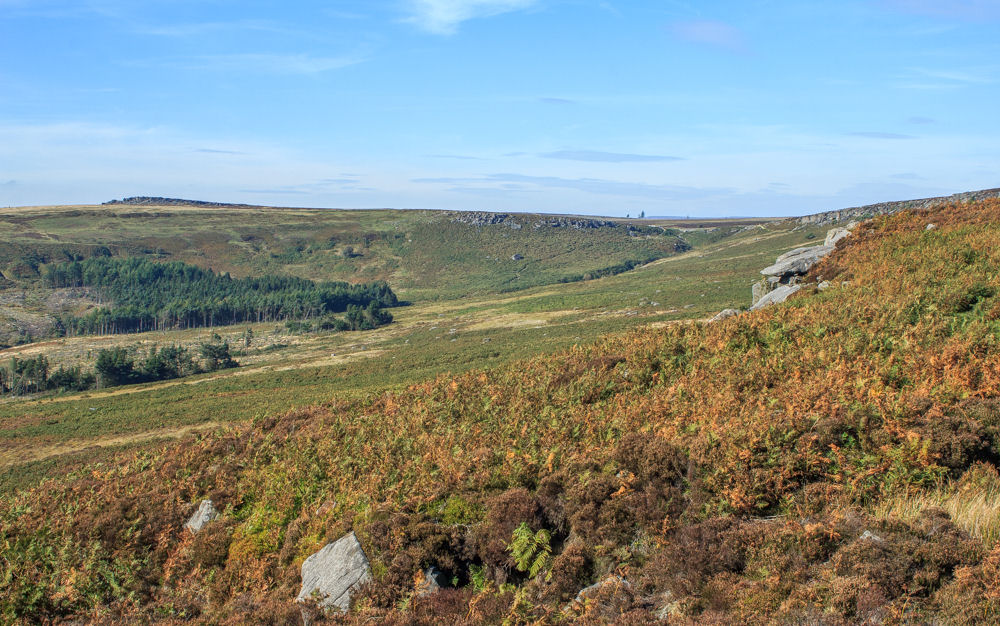 Fiddler's Elbow